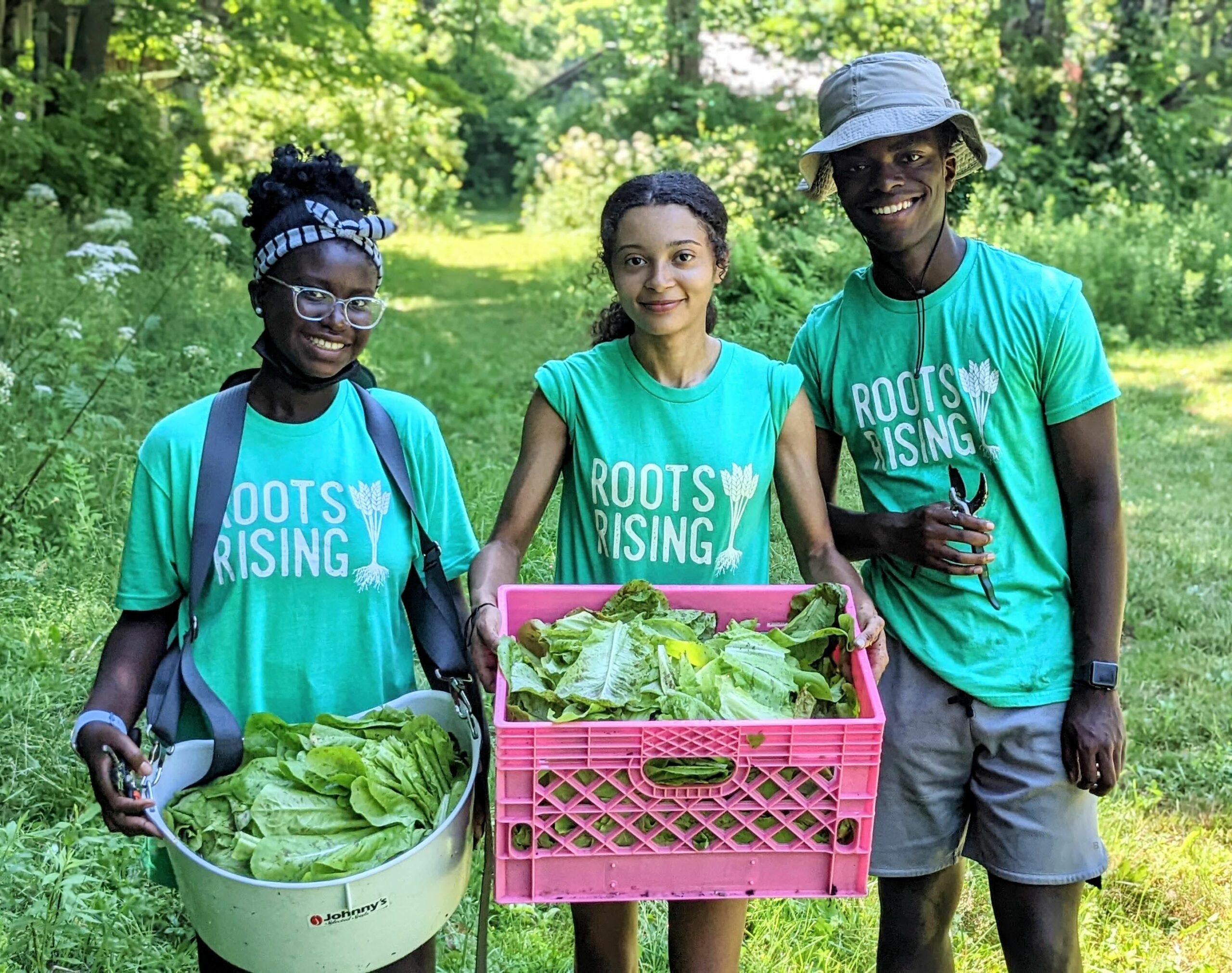 Youth farming Roots Rising Non-profit in the berkshires ma